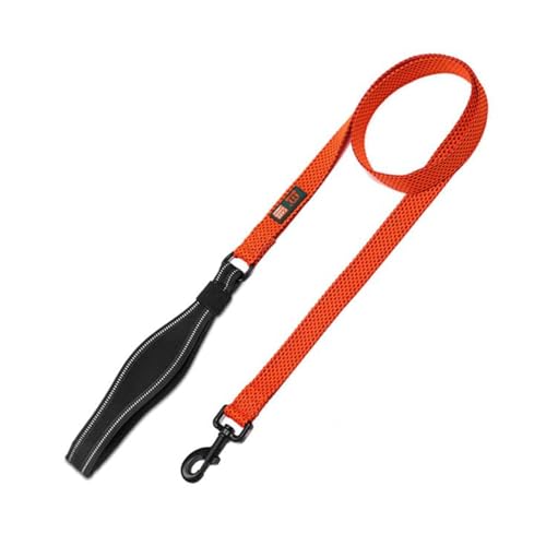 Cature Care by Nature Nylon Dog Leash Durable Training Lead, Strong Padded Handle for Walking Running of All Breed Dogs (Orange, Medium)