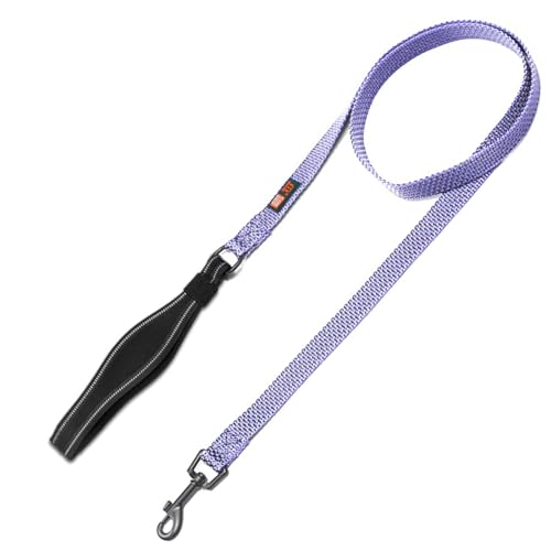Cature Care by Nature Nylon Dog Leash Durable Training Lead, Strong Padded Handle for Walking Running of All Breed Dogs (Sky Blue, Large)