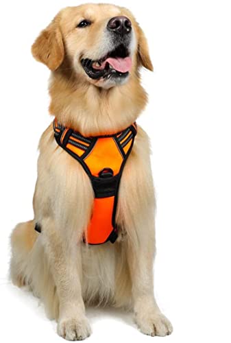 Emily Pets Dog Harness,Upgraded Easy Put on & Off No Choke Pet Harness with 2 Leash Clips,Adjustable Soft Padded Dog Vest, Vest with Easy Training Control Handle(XL,Orange)