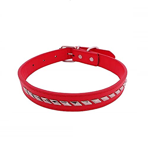 Emily Pets Adjustable Dog Collar with Metal Studs for Dogs and Puppy (Red Colour)