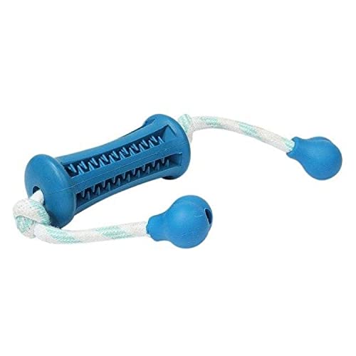 Emily Pets Dog Chewing Toys, Rubber Dog Toys, Puppy Teething Toy, Pet Toy Ball with Cotton Rope, and Rubber Toothbrush Toys with Washable Cotton Rope Cleaning Teeth Training (Blue)