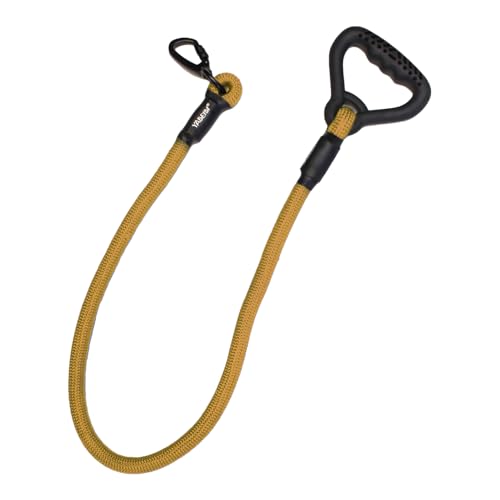 Emily Pets Nylon Dog Rope Leash with Strong Hook | Training and Walking Dog Leash Chew Proof with Hook, for Medium & Large Dog 3. feet (Yellow)