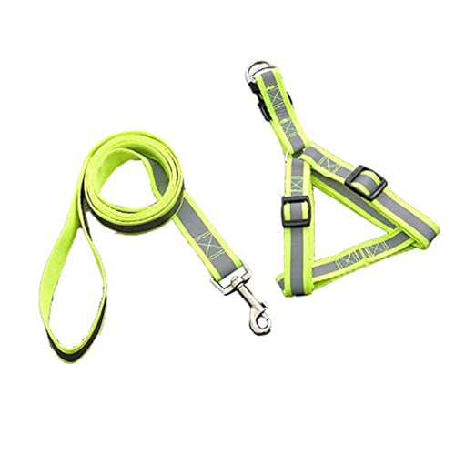 Emily Pets Nylon Strip Reflective Dog Harness Leash Lead Set for Small Medium Dogs Puppy (Green)