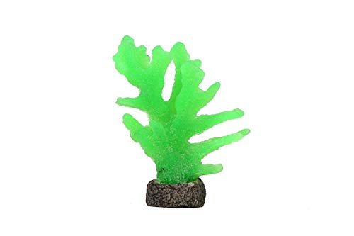 Emily Pets Glowing Effect Artificial Ocean Coral Decorative Aquarium Ornament for Real Ocean Look in Fish Tank