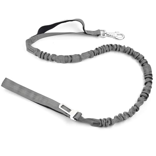 Cature Care by Nature Bungee Dog Leash for Shock Absorption - Heavy Duty No Pull Training Leash for Medium & Large Dogs - Grey, 4FT with 2 Padded Handles