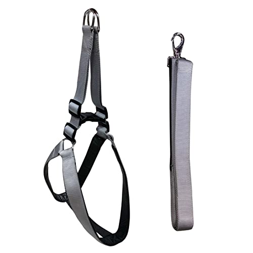 Emily Pets Dog Haness and Leash Set,Adjustable Nylon with Black Padding Dog Training Dog Harness for Large Dogs no Pull, with Heavy Duty Dog Leash, Pet Set for Large Medium Small Dogs(Grey 37.5MM)