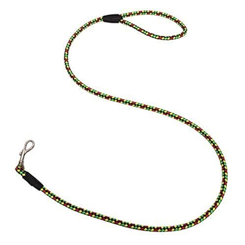 Emily Pets Nylon Leash For Small & Medium Dog, 40 Cm L