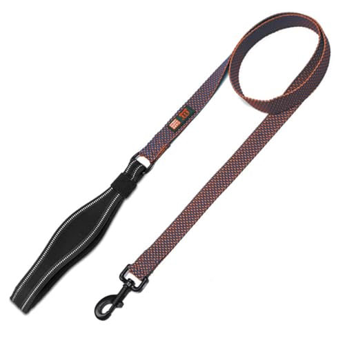 Emily Pets Nylon Dog Leash Durable Training Lead, Strong Padded Handle for Walking Running of Small Medium, Large Dogs (Purple, Large)
