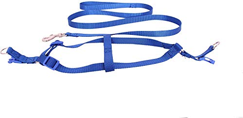 Emily Pets Adjustable Leash & Harness Set for Puppy & Small Breed Dogs (Blue)