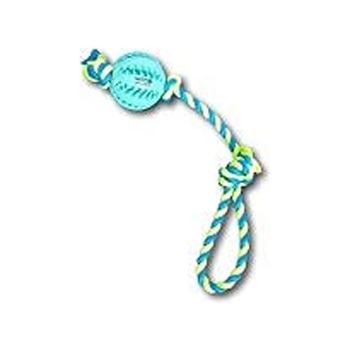 emily pets Dog Fetch Rope Ball Chew Toy Tooth Cleaning Toy for Dogs Robust Natural Rubber Dog Ball IQ Training Ball Interactive Pet Toy for Medium and Small Dogs Pets(Size:Small,ColorSky Blue)