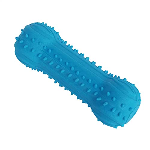 emily pets Squeak Dog Chew Bone Toy, Rubber Bone Squeak Chew Toy for Chewing for Dogs, Floating & Suitable for Pool Use (Blue)