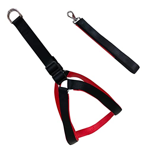Emily Pets Dog Haness and Leash Set,Adjustable Nylon with Red Padding Dog Training Dog Harness for Large Dogs no Pull, with Heavy Duty Dog Leash, Pet Set for Large Medium Small Dogs(Black 32MM)