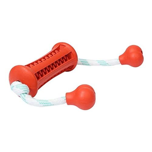 Emily Pets Dog Chewing Toys, Rubber Dog Toys Puppy Teething Toy and Rubber Toothbrush Toys with Washable Cotton Rope Cleaning Teeth Training (Red)
