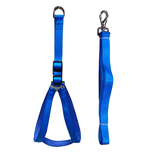 Emily Pets Dog Haness and Leash Set,Adjustable Nylon with Blue Padding Dog Training Dog Harness for Large Dogs no Pull, with Heavy Duty Dog Leash, Pet Set for Large Medium Small Dogs(Blue 25MM)