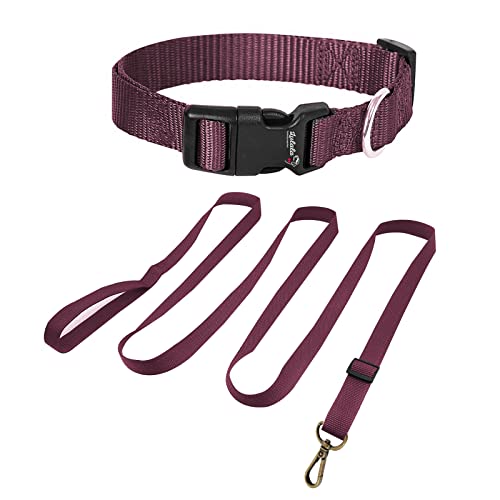 Lulala Nylon Dog Collar and Leash Set, Adjustable Collar Leash Set with Quick Release Buckle Safety for Small Medium Dogs Walking Running Training 15MM(Maroon Color)