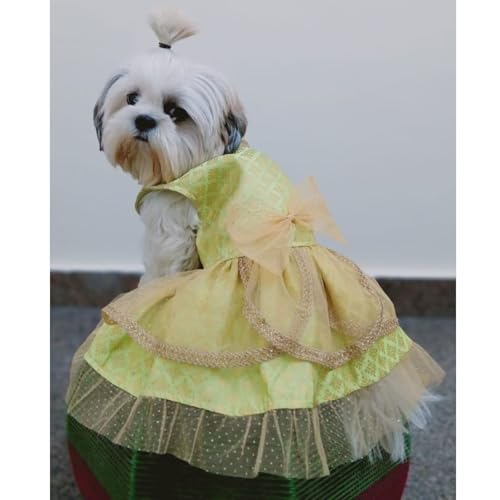 Lulala Traditional Dog Dress for Small, Medium & Large Dogs – Light Green & Golden Ethnic Outfit with Bow | Festive Pet Costume for Weddings & Parties