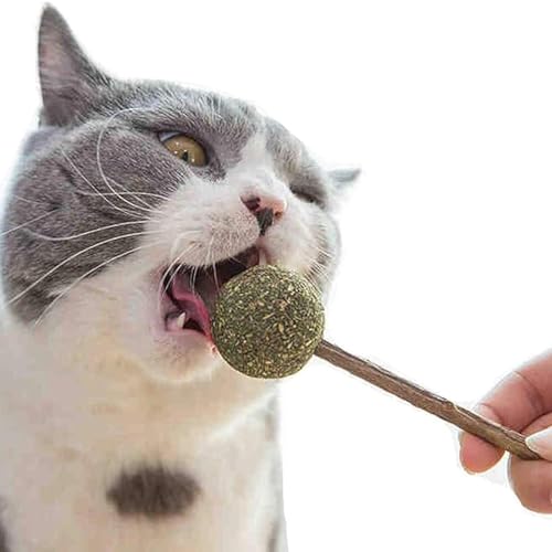 cature Care by Nature Catnip Lollipop, Wooden Teeth Cleaning Snack Stick, Cat Mint Lollipop Funny Catnip Play Toys For Pet Kitten (Pack Of 2)
