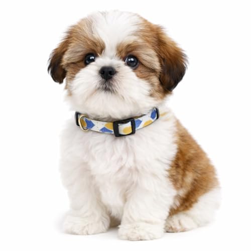 Emily Pets Cat Collar Breakaway for Cats, Boy & Girl Cat Collars Kitten Collar Break Away Collar for Cats - Breakaway Cat Collar (Color May Vary, 1 Piece)