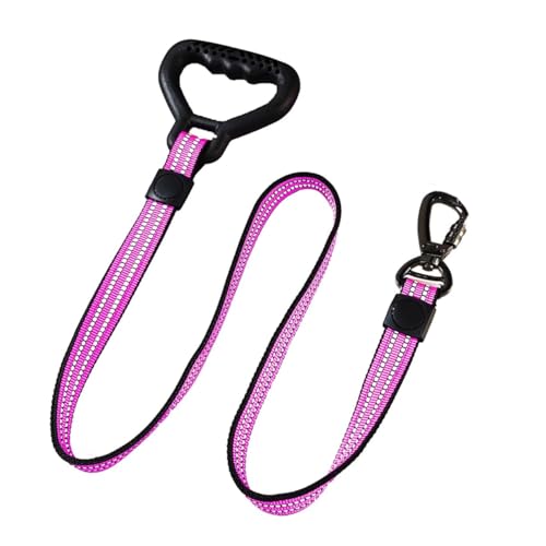 Emily Pets Dog Leash with Comfortable Padded Handle and Highly Reflective Rope Pet Leashes for Puppy, Small and Large Dogs Purple