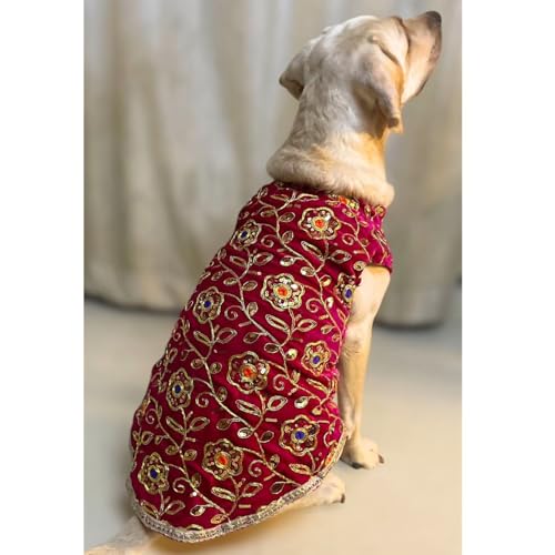 Lulala Festive Dog Sherwani in Dark Pink Velvet - Heavily Embroidered Ethnic Outfit for Dogs | Traditional Indian Pet Clothing for Weddings, Diwali and Parties for Dogs