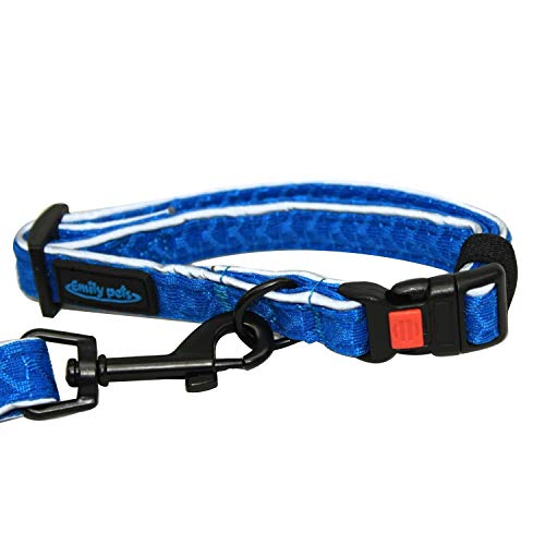 Emily Pets Reflective Dog Leash with Soft Padded Handle for Training,Walking Lead for Large & Medium