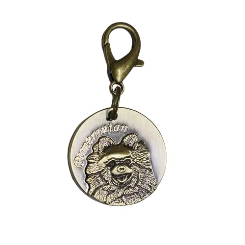 SRIPET Brass Dog Collar Tag Cum Collar Charm for Dog & Puppy, Look Gold