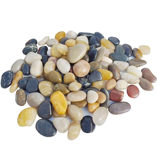 Cature Care by Nature 1-2 Cm Natural Decorative Stone, River Rocks for Plants, Indoor Pots or Vase or Outdoor Garden Landscaping Polished Mixed Pebbles for Planters (4.9)