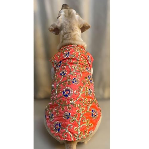 Lulala Traditional Dog Dress – Orange Embroidered Ethnic Outfit for Small, Medium & Large Dogs | Comfortable Festive Pet Costume for Weddings & Parties