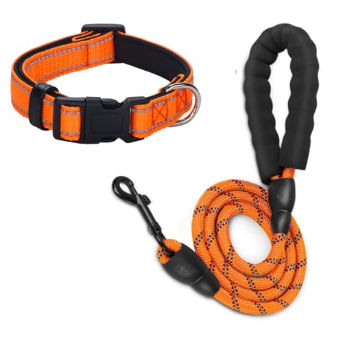 Emily Pets Dog Leash and Collar Set Heavy Duty, 5FT Dog Leashes for Small Puppy Medium Large Breed Dogs with Comfortable Handle, Reflective Rope Pet Leash for Night Safety Walking (Orange)