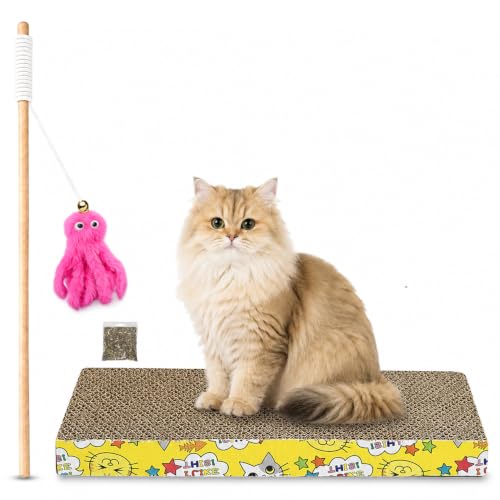 Emily Pets Cardboard Cat Scratcher and Cat Stick Combo, Catnip, Chew Interactive Toy for Cats and Kitten (Pack of 2,Color May Vary)