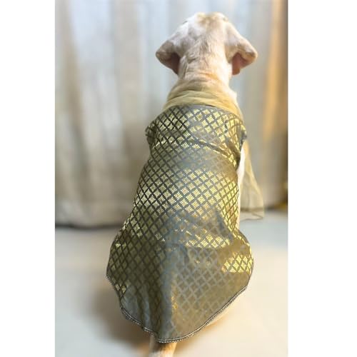 Lulala Traditional Dog Ethnic Dress – Grey Banarasi Silk Kurta with Dupatta for Dogs | Festive for Small, Medium & Large Pets
