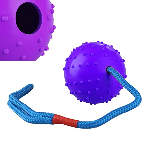 emily pets Chew Ball on Rope, Rubber Rope Ball for Dog Training, Chewing and Interactive, Tug Ball Toy for Medium and Small Dog, Tough Rope Toy, Non-Toxic and Durable Dog Toy(Voilate)