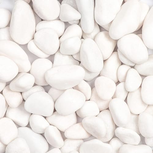 cature Care by Nature White Polished Gravel Stones For Fish Tank Fillers,Natural Irregular Shaped Stones Assorted Crushed Stone Pcs For Vases Fillers Plants Home Decor Pebble Stones(1.95Kg)1.2-1.5Cm