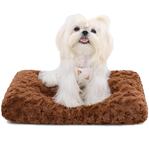 emily pets Washable Dog Bed Deluxe Plush Dog Crate Beds Fulffy Comfy Kennel Pad Anti-Slip Pet Sleeping Mat for Small, Medium Dogs Breeds, 23" x 18", (Brown, S)