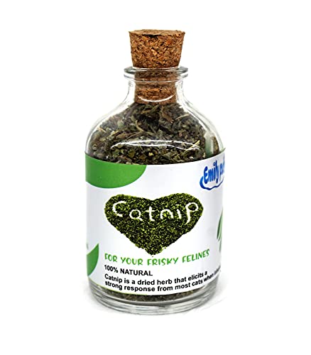 emily pets Natural Attractive Mint Fragrance Catnip for Cats Kitten