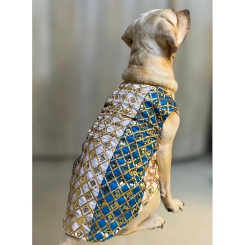 Lulala Ethnic Dog Kurta for Weddings & Festivals | Golden Sequin Embroidered Pet Jacket | Traditional Indian Festive Outfit for Dogs | Designer Kurta for Small to Large Breeds