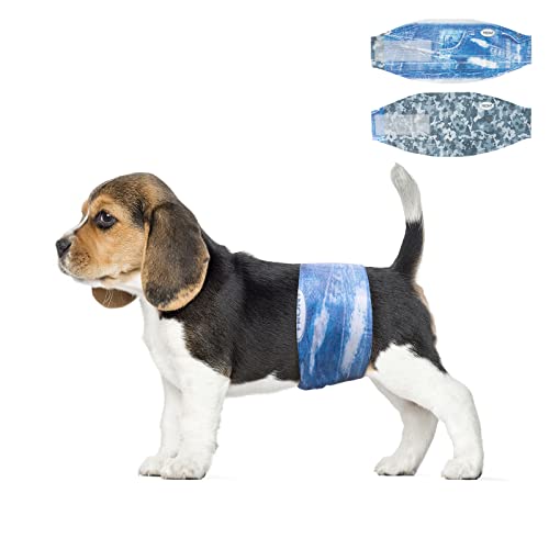 Dono XS 48 Count Male Dog Diapers, Super Absorbent Leak-Proof Fit for Excitable Urination & Incontinence