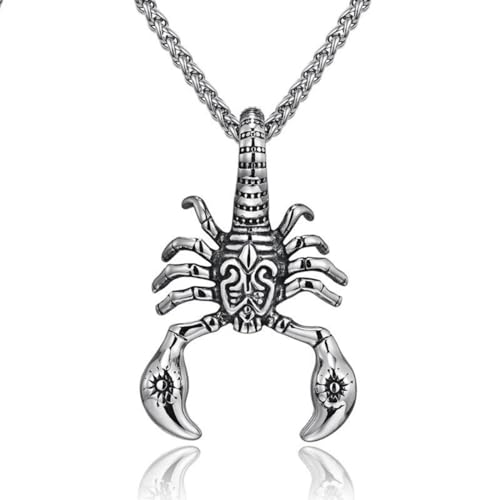 F Dream Scorpion necklace, scorpion jewelry, stainless steel, scorpion pendant, insect necklace, scorpion charm, scorpion gifts (Scorpion)…