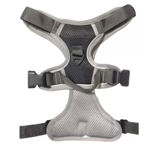 Emily Pets Dog Harness, No-Pull Pet Harness with 2 Leash Clips, Adjustable Soft Padded Dog Vest, Easy Control Handle for Small Dogs (Black, S)