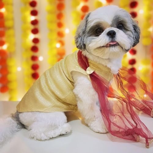 Lulala Dog Dress for Girls Dogs and Cats - Red Golden Glitter Party Gown with Tulle Skirt, Bow and Headband | Fancy Pet Dress for Weddings, Birthdays, Photoshoots and Special Occasions