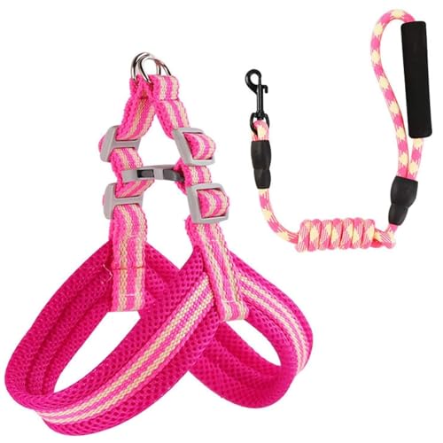 Emily Pets Dog Harness Set Soft and Adjustable Vest Pet Leash Set Explosion-Proof Dog Leash Chest Harness Suitable for Outdoor (Pink, Large)