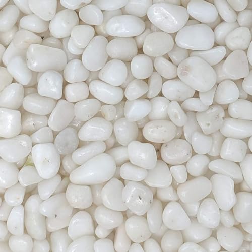 Cature Care by Nature White Polished Gravel Stones for Fish Tank Fillers, Assorted Crushed Stone Pieces for Vases Fillers Plants Home Decor Pebble Stones (4.9kg)(1.5-2.0Cm)