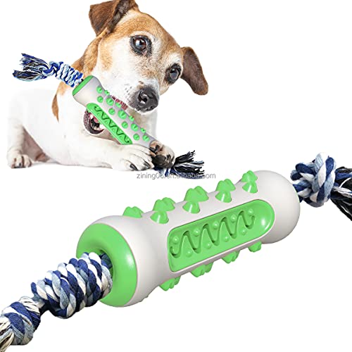 emily pets Dog Toothbrush Toy with Rope Interactive Durable Rubber Puppy Chewing Toy Dog Tooth Care Brush Stick Bone for Small and Medium Dog (Green)