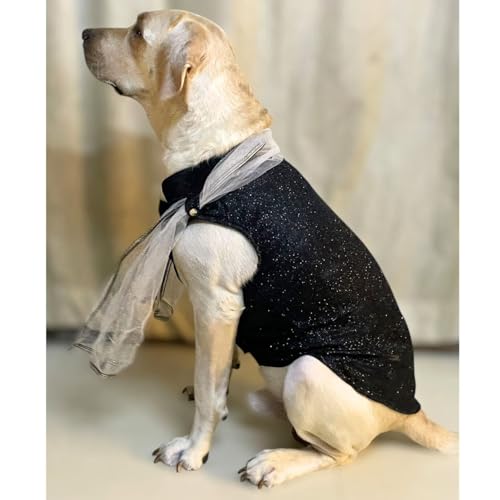 Lulala Ethnic Dog Dress for Small & Medium Breeds – Black Festive Pet Outfit with Net Dupatta – Traditional Indian Style Dog Clothing
