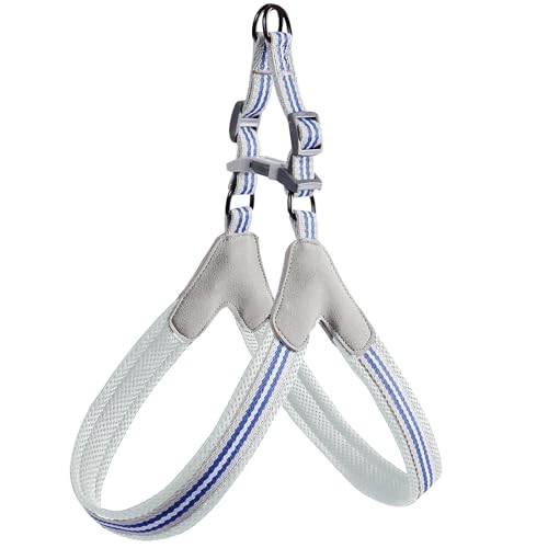 Cature Care by Nature No Pull Dog Harness,No Choke and Step-in,Adjustable Belts Breathable Soft Mesh,Escape Proof No Rub Dog Harnesses for Small Medium Large Dogs (Blue, S)
