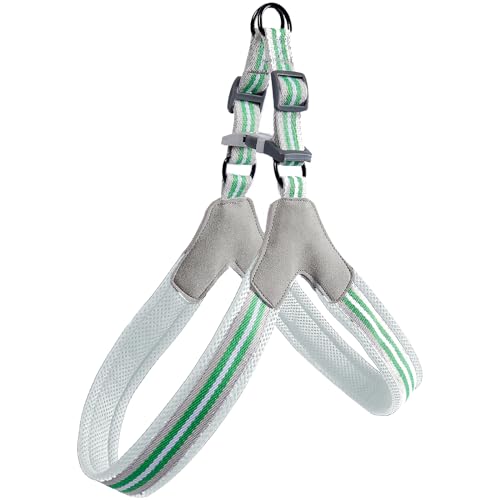 Emily Pets No Pull Dog Harness,No Choke and Step-in,Adjustable Belts Breathable Soft Mesh,Escape Proof No Rub Dog Harnesses for Small Medium Large Dogs (Green, L)