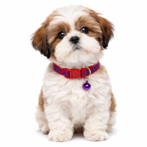 Emily Pets Cat Collar with Bell, Solid & Safe Collars for Cats, Nylon, Mixed Colors, Pet Collar, Breakaway Cat Collar, Free Replacement (Multi Color, 1 Piece)