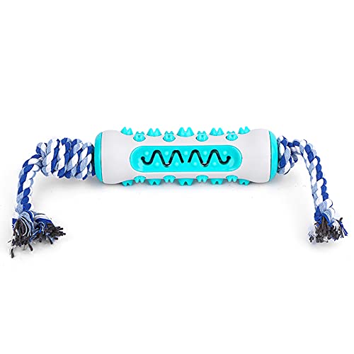 emily pets Dog Toothbrush Toy with Rope Interactive Durable Rubber Puppy Chewing Toy Dog Tooth Care Brush Stick Bone for Small and Medium Dog (Sky Blue)