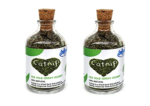 emily pets Natural Attractive Mint Fragrance Catnip for Cats (Pack of 2)
