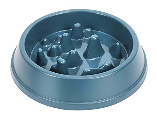 Emily Pets Dog Non-Slip Slow Feeder Bowl, Increasing Eating time Speed and Easy to Clean (Blue)